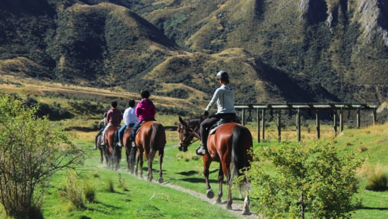 A relaxed paced horse trek through beautiful farmland to the shores of Moke Lake...